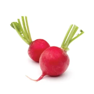 צנון