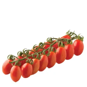 שרי לובלו