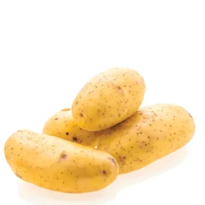 תפו"א לבן