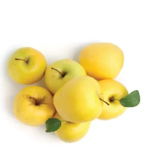 תפוח זהוב