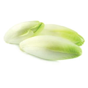 אנדיב
