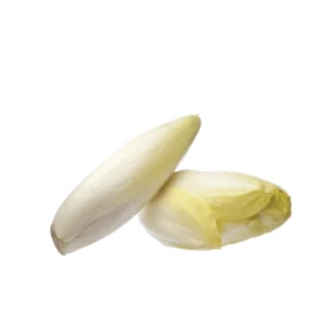 אנדיב לבן