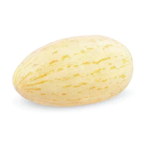 בונבון