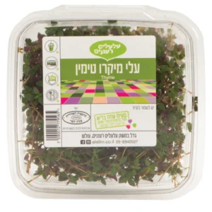 עלי מיקרו טימין