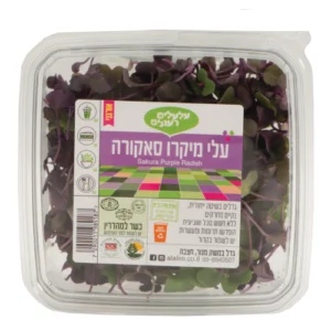 עלי מיקרו סאקורה