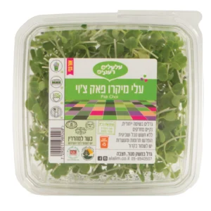 עלי מיקרו פאק צ'וי