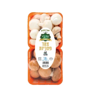 צמד פטריות