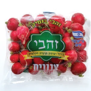 צנונית