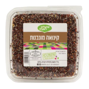 קינואה מונבטת