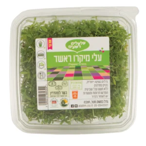 עלי מיקרו ראשד