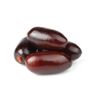 תמר לח